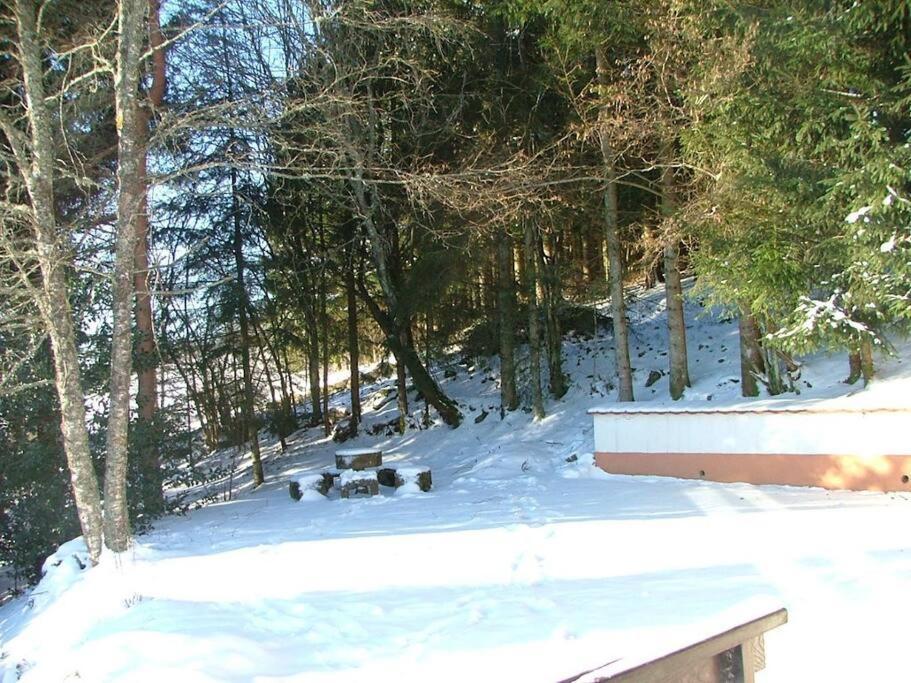 Maison D'Altitude Avec Vue Panoramique A Gérardmer Екстериор снимка