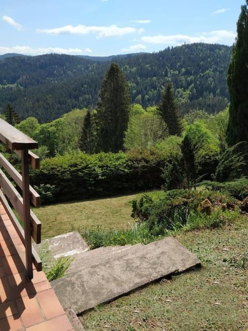 Maison D'Altitude Avec Vue Panoramique A Gérardmer Екстериор снимка
